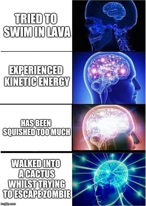 Minecraft Deaths | TRIED TO SWIM IN LAVA; EXPERIENCED KINETIC ENERGY; HAS BEEN SQUISHED TOO MUCH; WALKED INTO A CACTUS WHILST TRYING TO ESCAPE ZOMBIE | image tagged in memes,expanding brain | made w/ Imgflip meme maker