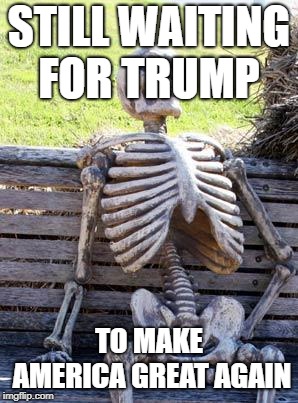 Waiting Skeleton | STILL WAITING FOR TRUMP; TO MAKE AMERICA GREAT AGAIN | image tagged in memes,waiting skeleton | made w/ Imgflip meme maker