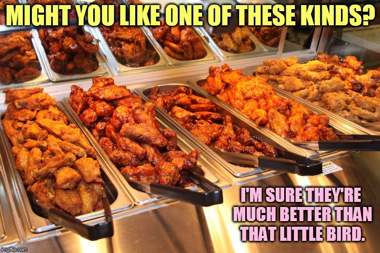 MIGHT YOU LIKE ONE OF THESE KINDS? I'M SURE THEY'RE MUCH BETTER THAN THAT LITTLE BIRD. | made w/ Imgflip meme maker