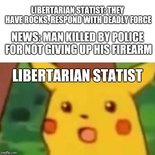 Surprised Pikachu | LIBERTARIAN STATIST: THEY HAVE ROCKS, RESPOND WITH DEADLY FORCE; NEWS: MAN KILLED BY POLICE FOR NOT GIVING UP HIS FIREARM; LIBERTARIAN STATIST | image tagged in memes,surprised pikachu | made w/ Imgflip meme maker