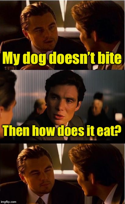 Inception Meme | My dog doesn’t bite; Then how does it eat? | image tagged in memes,inception | made w/ Imgflip meme maker