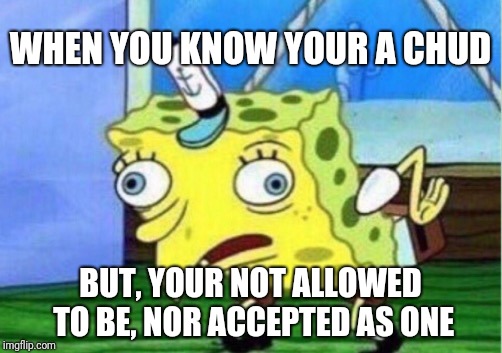 Mocking Spongebob Meme | WHEN YOU KNOW YOUR A CHUD; BUT, YOUR NOT ALLOWED TO BE, NOR ACCEPTED AS ONE | image tagged in memes,mocking spongebob | made w/ Imgflip meme maker