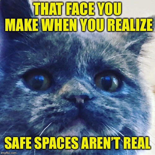 Concerned Kitty | THAT FACE YOU MAKE WHEN YOU REALIZE; SAFE SPACES AREN’T REAL | image tagged in cats,first world problems,worry,oh no,oh god why | made w/ Imgflip meme maker