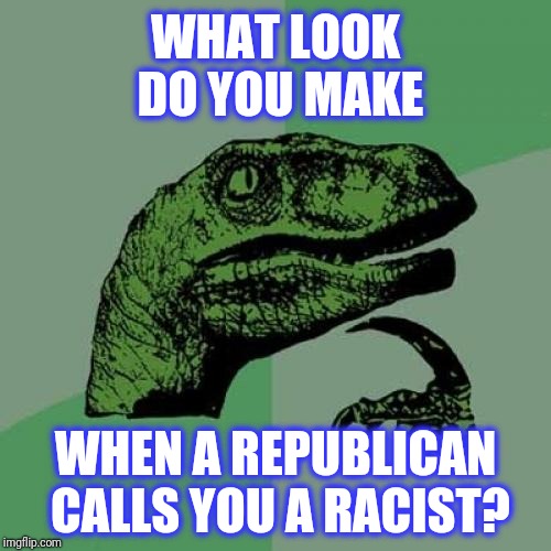 Philosoraptor Meme | WHAT LOOK DO YOU MAKE WHEN A REPUBLICAN CALLS YOU A RACIST? | image tagged in memes,philosoraptor | made w/ Imgflip meme maker