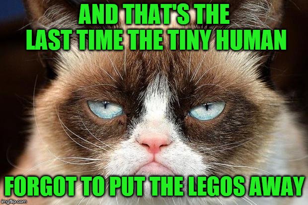 Grumpy Cat Not Amused Meme | AND THAT'S THE LAST TIME THE TINY HUMAN FORGOT TO PUT THE LEGOS AWAY | image tagged in memes,grumpy cat not amused,grumpy cat | made w/ Imgflip meme maker