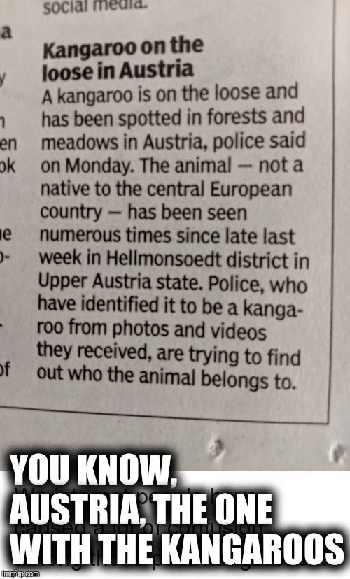 YOU KNOW, AUSTRIA, THE ONE WITH THE KANGAROOS | made w/ Imgflip meme maker