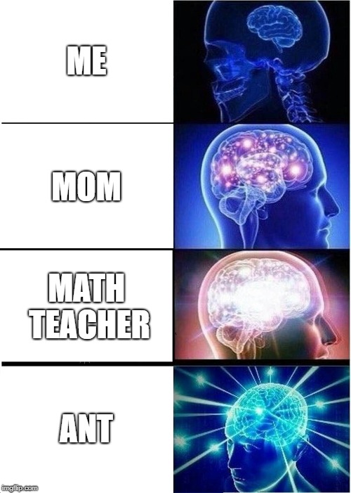 Expanding Brain Meme | ME; MOM; MATH TEACHER; ANT | image tagged in memes,expanding brain | made w/ Imgflip meme maker