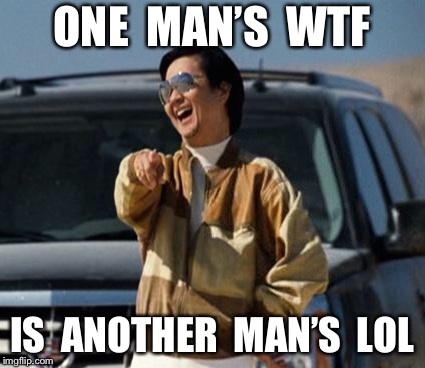 chow laughing hangover | ONE  MAN’S  WTF; IS  ANOTHER  MAN’S  LOL | image tagged in chow laughing hangover | made w/ Imgflip meme maker