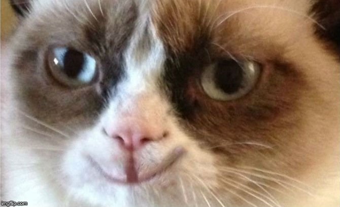 Grumpy Cat happy | . | image tagged in grumpy cat happy | made w/ Imgflip meme maker