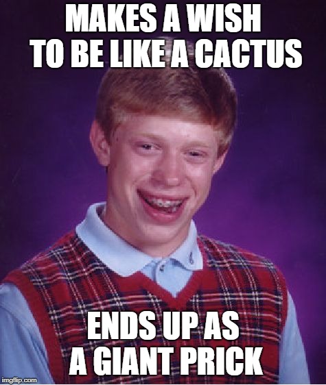 Sometimes, only a cactus will do - Imgflip