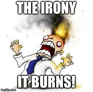 The Irony It Burns!!! | THE IRONY IT BURNS! | image tagged in the irony it burns | made w/ Imgflip meme maker