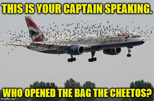THIS IS YOUR CAPTAIN SPEAKING. WHO OPENED THE BAG THE CHEETOS? | made w/ Imgflip meme maker