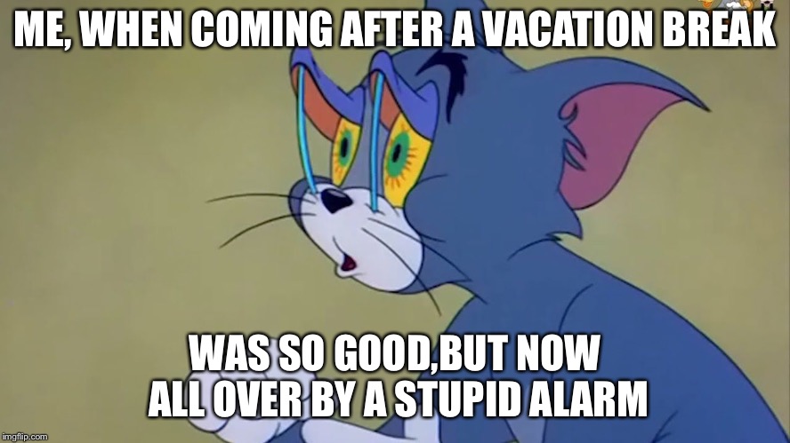 Tired mood | ME, WHEN COMING AFTER A VACATION BREAK; WAS SO GOOD,BUT NOW ALL OVER BY A STUPID ALARM | image tagged in tired tom,funny memes,tom and jerry | made w/ Imgflip meme maker