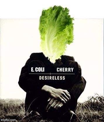 E. Coli Cherry | image tagged in musicians,lettuce,cherry,funny,pop music,eagle | made w/ Imgflip meme maker