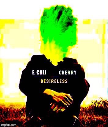 E. Coli Cherry | image tagged in musicians,lettuce,cherry,funny,pop music,eagle | made w/ Imgflip meme maker