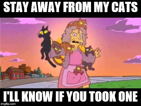 Simpson's Crazy Cat Lady | STAY AWAY FROM MY CATS I'LL KNOW IF YOU TOOK ONE | image tagged in simpson's crazy cat lady | made w/ Imgflip meme maker