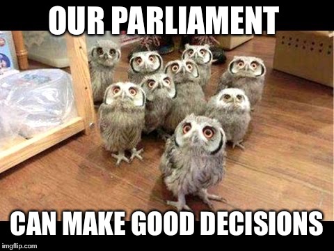Parliament of Owls | OUR PARLIAMENT; CAN MAKE GOOD DECISIONS | image tagged in parliament of owls | made w/ Imgflip meme maker