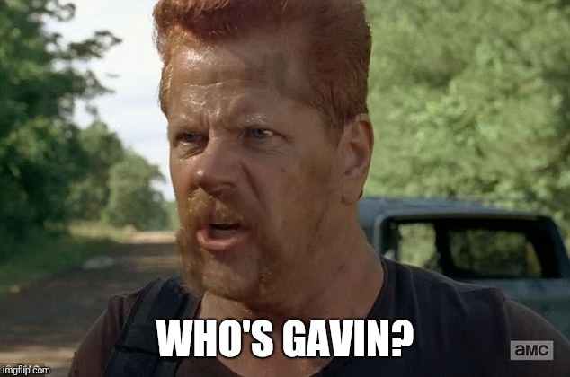 RDR2 Who's Gavin? | WHO'S GAVIN? | image tagged in videogames | made w/ Imgflip meme maker