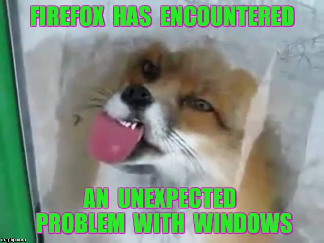 FIREFOX  HAS  ENCOUNTERED AN  UNEXPECTED  PROBLEM  WITH  WINDOWS | made w/ Imgflip meme maker