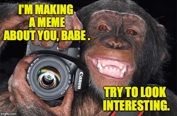 Trying to capture a moment here. | I'M MAKING A MEME ABOUT YOU, BABE . TRY TO LOOK INTERESTING. | image tagged in camera monkey,memes,you you you | made w/ Imgflip meme maker