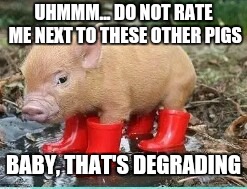 Apple among oranges | UHMMM... DO NOT RATE ME NEXT TO THESE OTHER PIGS; BABY, THAT'S DEGRADING | image tagged in so true memes | made w/ Imgflip meme maker