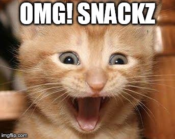 Excited Cat |  OMG! SNACKZ | image tagged in memes,excited cat | made w/ Imgflip meme maker