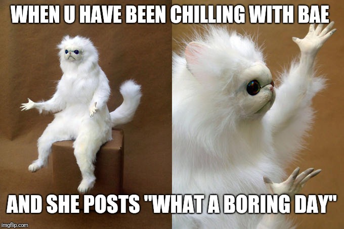 Persian Cat Room Guardian Meme | WHEN U HAVE BEEN CHILLING WITH BAE; AND SHE POSTS "WHAT A BORING DAY" | image tagged in memes,persian cat room guardian | made w/ Imgflip meme maker