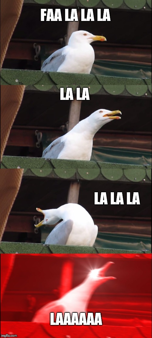 Inhaling Seagull | FAA LA LA LA; LA LA; LA LA LA; LAAAAAA | image tagged in memes,inhaling seagull | made w/ Imgflip meme maker
