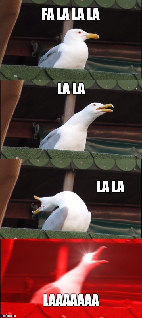 Inhaling Seagull | FA LA LA LA; LA LA; LA LA; LAAAAAAA | image tagged in memes,inhaling seagull | made w/ Imgflip meme maker