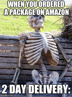 Waiting Skeleton | WHEN YOU ORDERED A PACKAGE ON AMAZON; 2 DAY DELIVERY: | image tagged in memes,waiting skeleton | made w/ Imgflip meme maker