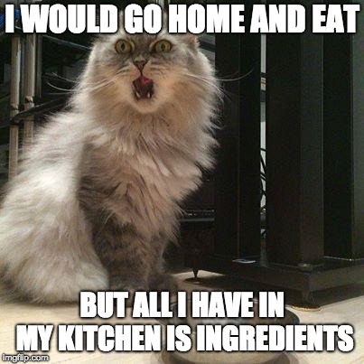 empty food bowl | I WOULD GO HOME AND EAT; BUT ALL I HAVE IN MY KITCHEN IS INGREDIENTS | image tagged in empty food bowl | made w/ Imgflip meme maker