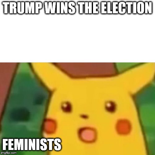 Surprised Pikachu Meme | TRUMP WINS THE ELECTION; FEMINISTS | image tagged in memes,surprised pikachu | made w/ Imgflip meme maker