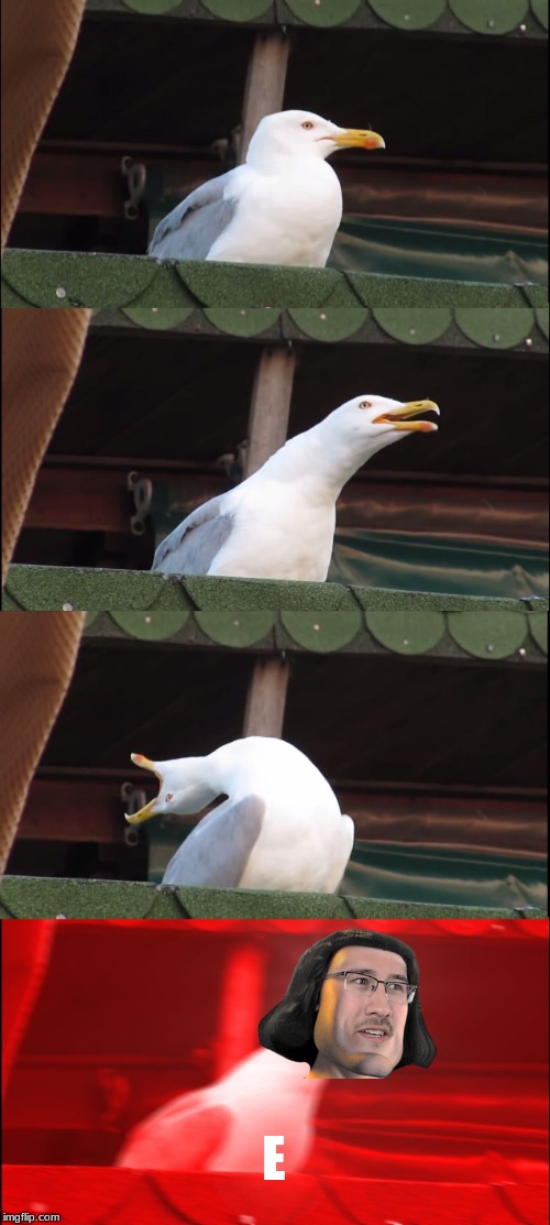 Inhaling Seagull Meme | E | image tagged in memes,inhaling seagull | made w/ Imgflip meme maker