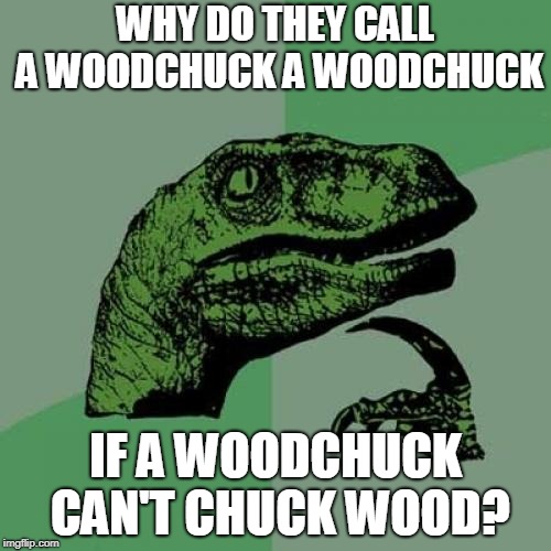 Say THAT 3 times fast! | WHY DO THEY CALL A WOODCHUCK A WOODCHUCK; IF A WOODCHUCK CAN'T CHUCK WOOD? | image tagged in memes,philosoraptor,woodchuck | made w/ Imgflip meme maker