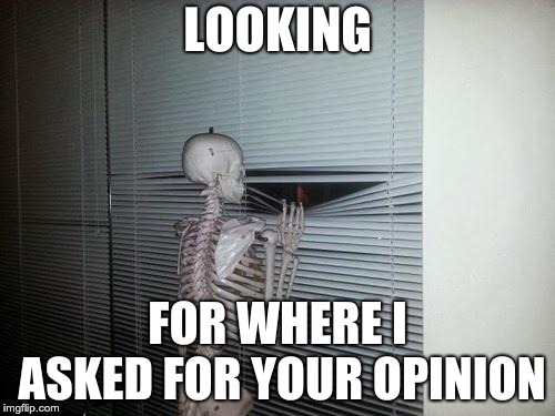 Skeleton Looking Out Window | LOOKING; FOR WHERE I ASKED FOR YOUR OPINION | image tagged in skeleton looking out window | made w/ Imgflip meme maker