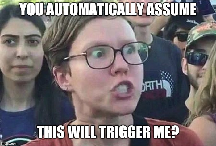 Triggered Liberal | YOU AUTOMATICALLY ASSUME THIS WILL TRIGGER ME? | image tagged in triggered liberal | made w/ Imgflip meme maker