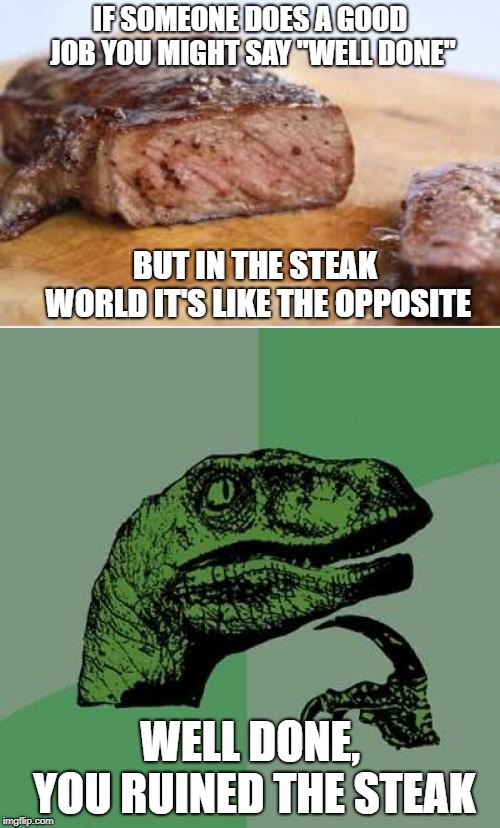 Contextual Oxymoron | IF SOMEONE DOES A GOOD JOB YOU MIGHT SAY "WELL DONE"; BUT IN THE STEAK WORLD IT'S LIKE THE OPPOSITE; WELL DONE, YOU RUINED THE STEAK | image tagged in memes,philosoraptor,well done,steak | made w/ Imgflip meme maker