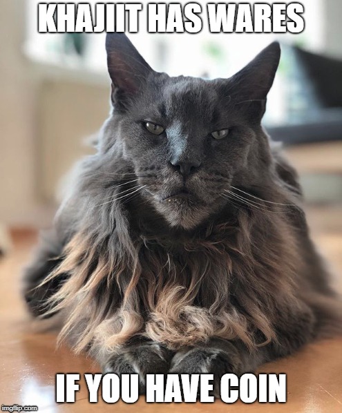 reddit cat (don't remember where) | KHAJIIT HAS WARES; IF YOU HAVE COIN | image tagged in reddit,cat,kajit,wares,coin | made w/ Imgflip meme maker
