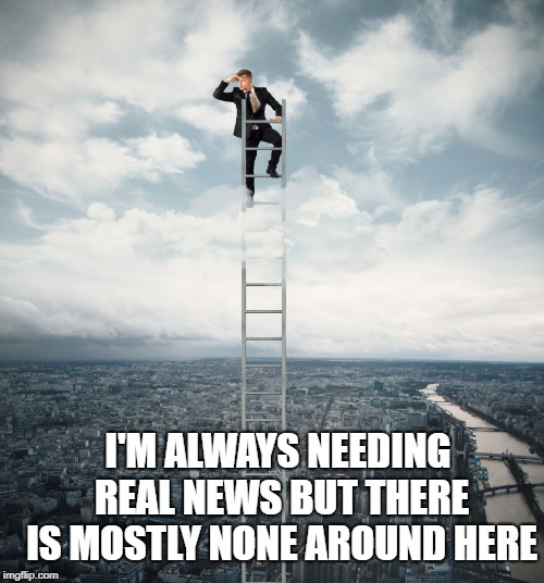 searching | I'M ALWAYS NEEDING REAL NEWS BUT THERE IS MOSTLY NONE AROUND HERE | image tagged in searching | made w/ Imgflip meme maker