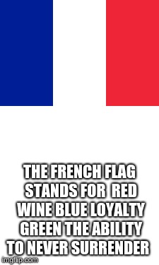 THE FRENCH FLAG STANDS FOR 
RED WINE BLUE LOYALTY GREEN THE ABILITY TO NEVER SURRENDER | image tagged in the french flag | made w/ Imgflip meme maker