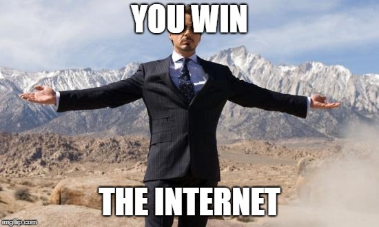 RDJ-Ironman | YOU WIN; THE INTERNET | image tagged in rdj-ironman | made w/ Imgflip meme maker