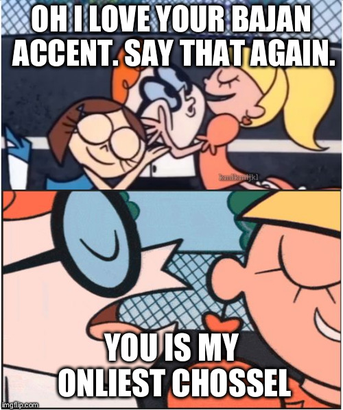 Dexters Lab | OH I LOVE YOUR BAJAN ACCENT. SAY THAT AGAIN. YOU IS MY ONLIEST CHOSSEL | image tagged in dexters lab | made w/ Imgflip meme maker