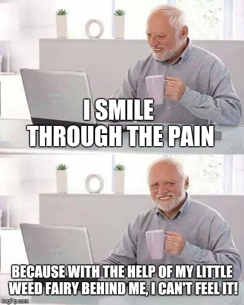 Hide the Pain Harold Meme | I SMILE THROUGH THE PAIN; BECAUSE WITH THE HELP OF MY LITTLE WEED FAIRY BEHIND ME, I CAN'T FEEL IT! | image tagged in memes,hide the pain harold | made w/ Imgflip meme maker