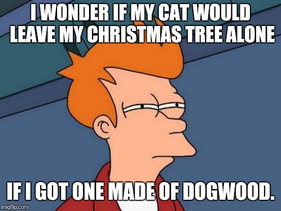 Futurama Fry | I WONDER IF MY CAT WOULD LEAVE MY CHRISTMAS TREE ALONE; IF I GOT ONE MADE OF DOGWOOD. | image tagged in memes,futurama fry | made w/ Imgflip meme maker