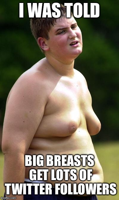 man boobs | I WAS TOLD; BIG BREASTS GET LOTS OF TWITTER FOLLOWERS | image tagged in man boobs,memes,funny,i was told | made w/ Imgflip meme maker
