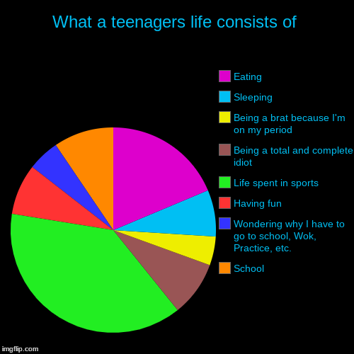 What a teenagers life consists of | School, Wondering why I have to go to school, Wok, Practice, etc., Having fun, Life spent in sports, Bei | image tagged in funny,pie charts | made w/ Imgflip chart maker