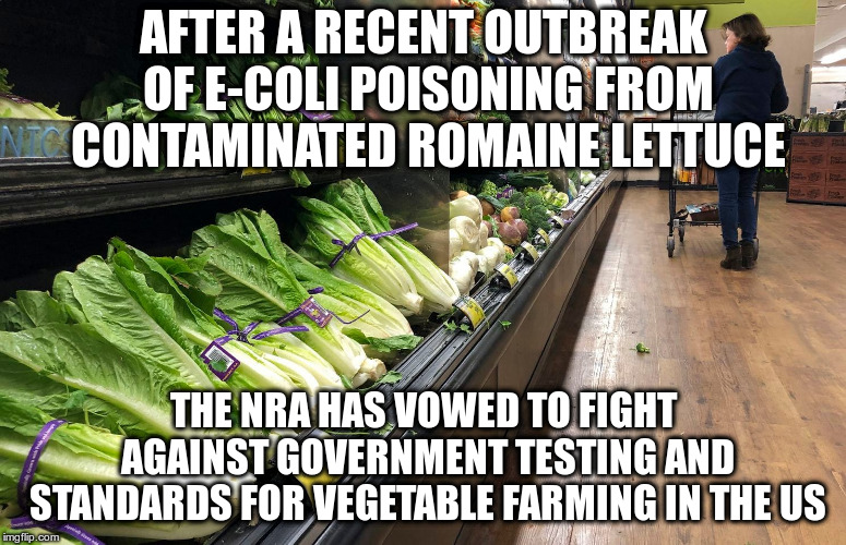 Defiant "Red-Meat" States suddenly eating salads to protest government interference!  | AFTER A RECENT OUTBREAK OF E-COLI POISONING FROM CONTAMINATED ROMAINE LETTUCE; THE NRA HAS VOWED TO FIGHT AGAINST GOVERNMENT TESTING AND STANDARDS FOR VEGETABLE FARMING IN THE US | image tagged in nra,satire,romaine lettuce,government standards,safety,common sense | made w/ Imgflip meme maker