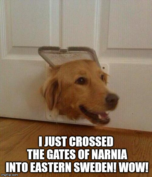 Dog door | I JUST CROSSED THE GATES OF NARNIA INTO EASTERN SWEDEN! WOW! | image tagged in dog door | made w/ Imgflip meme maker