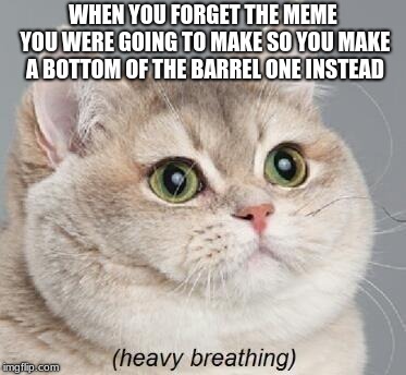 Heavy Breathing Cat | WHEN YOU FORGET THE MEME YOU WERE GOING TO MAKE SO YOU MAKE A BOTTOM OF THE BARREL ONE INSTEAD | image tagged in memes,heavy breathing cat | made w/ Imgflip meme maker