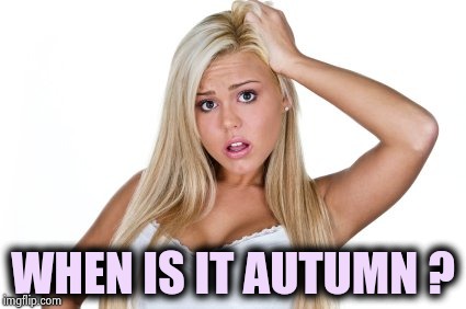 dumb blonde | WHEN IS IT AUTUMN ? | image tagged in dumb blonde | made w/ Imgflip meme maker